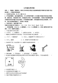 2023年广东省深圳市龙岗区深圳中学龙岗学校中考三模化学试题(无答案)