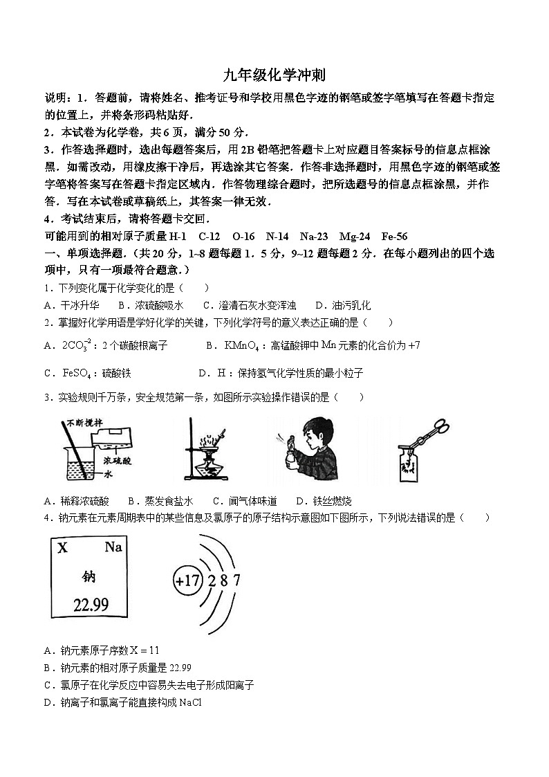 2023年广东省深圳市龙岗区深圳中学龙岗学校中考三模化学试题(无答案)第1页
