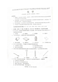 2023年四川省宜宾市中考化学真题（无答案）