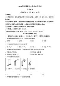 2023年陕西省中考化学真题（含答案）