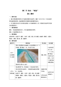 初中化学鲁教版九年级下册第二节  海水“晒盐“第2课时教学设计及反思