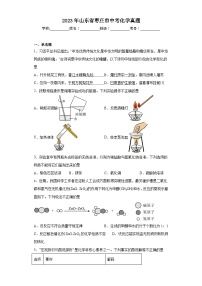 2023年山东省枣庄市中考化学真题（含答案）