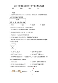 2023年安徽省合肥市长丰县中考二模化学试题（含答案）