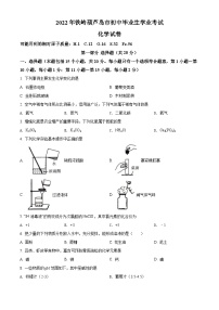 2022年辽宁省铁岭市葫芦岛市中考化学真题（原卷版）