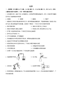 2022年四川省眉州市中考化学真题（原卷版）