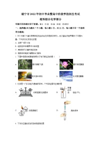 2022年四川省遂宁市中考化学试卷及答案