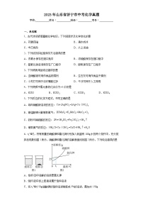 2023年山东省济宁市中考化学真题（含答案）