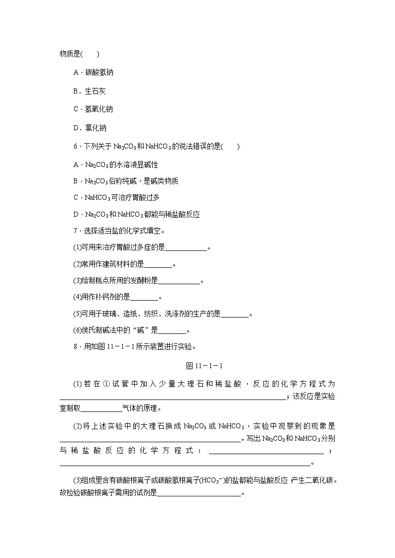 人教版九年级化学下册11.1.1几种常见的盐练习题02