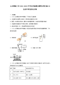 山东聊城三年（2021-2023）中考化学真题分题型分类汇编-03生活中常见的化合物