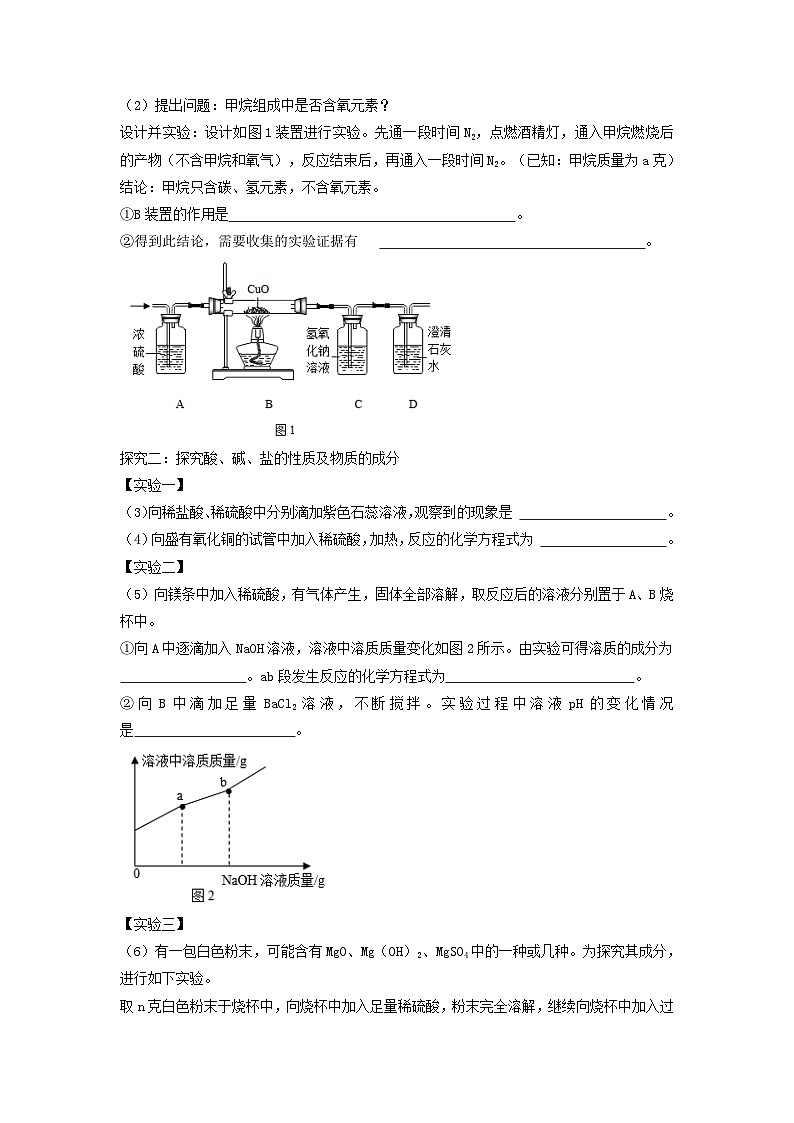 专题06 解读实验探究题-备战中考化学必备解题模板系列（解析版）第3页
