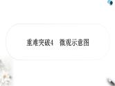 人教版中考化学复习重难突破4微观符号的应用练习课件