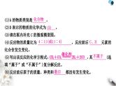 人教版中考化学复习重难突破4微观符号的应用练习课件