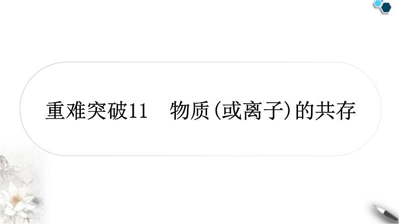 人教版中考化学复习重难突破11物质(或离子)的共存练习课件第1页