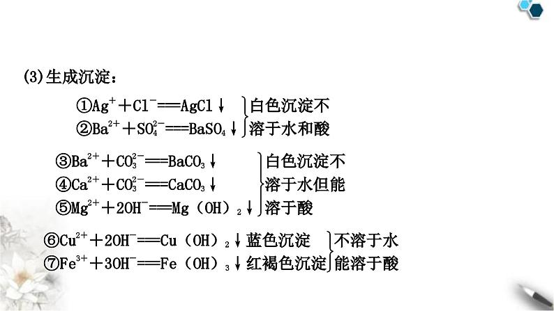 人教版中考化学复习重难突破11物质(或离子)的共存练习课件第5页