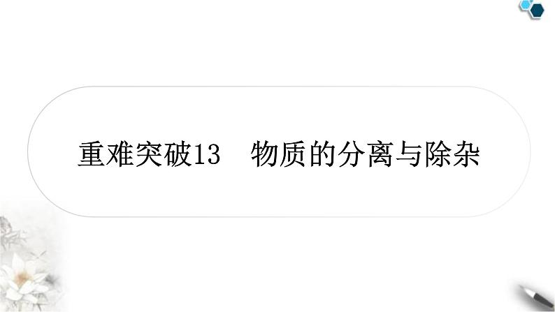 人教版中考化学复习重难突破13物质的分离与除杂练习课件01