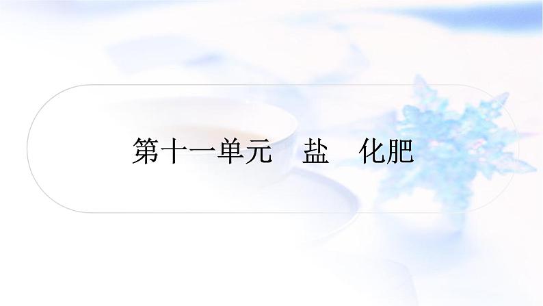 人教版中考化学复习第十一单元盐化肥教学课件第1页