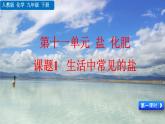课题1 生活中常见的盐(九年级下学期)课件PPT