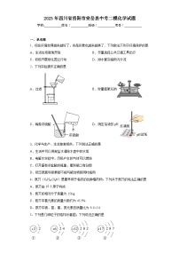 2023年四川省资阳市安岳县中考二模化学试题（含答案）