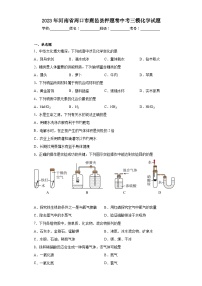 2023年河南省周口市鹿邑县押题卷中考三模化学试题（含解析）