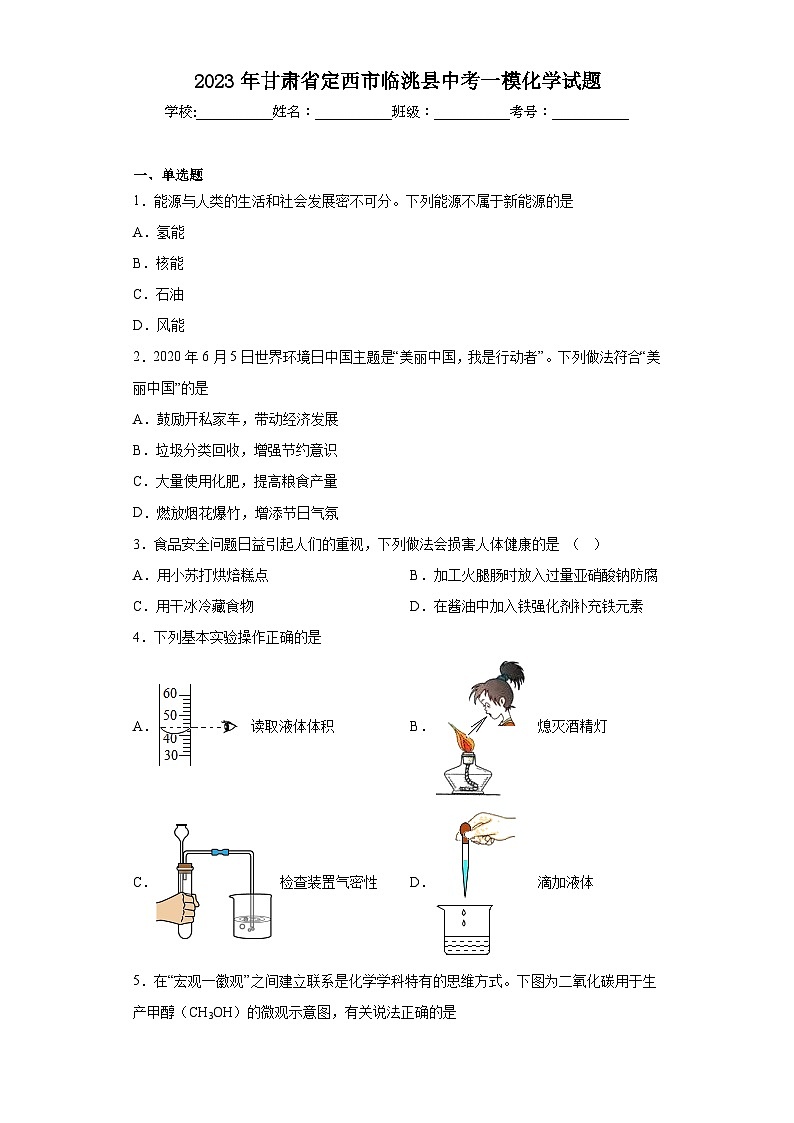 2023年甘肃省定西市临洮县中考一模化学试题（含解析）01