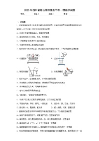 2023年四川省眉山市洪雅县中考一模化学试题（含解析）