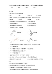 2023年吉林省白城市通榆县四中、九中中考模拟化学试题（含解析）