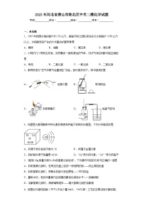 2023年河北省唐山市路北区中考二模化学试题（含解析）