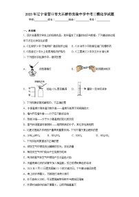 2023年辽宁省营口市大石桥市实验中学中考三模化学试题（含解析）