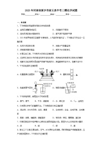 2023年河南省新乡市封丘县中考三模化学试题（含解析）