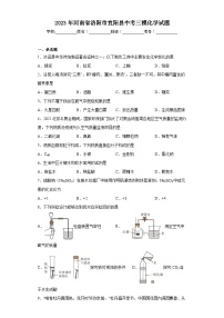 2023年河南省洛阳市宜阳县中考三模化学试题（含解析）