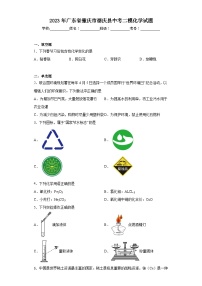 2023年广东省肇庆市德庆县中考二模化学试题（含解析）