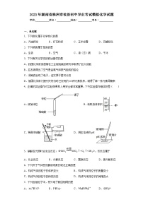 2023年湖南省株洲市攸县初中学业考试模拟化学试题（含解析）