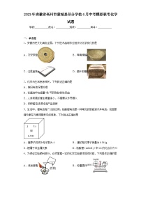 2023年安徽省亳州市蒙城县部分学校4月中考模拟联考化学试题（含解析）