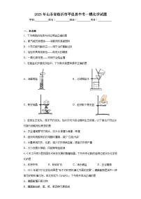 2023年山东省临沂市平邑县中考一模化学试题（含解析）