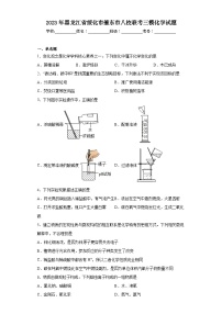 2023年黑龙江省绥化市肇东市八校联考中考三模化学试题（含解析）