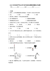 2023年河南省平顶山市叶县考前定位模拟预测化学试题（含解析）