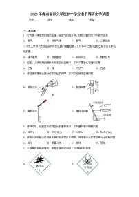 2023年海南省部分学校初中学业水平调研化学试题（含解析）