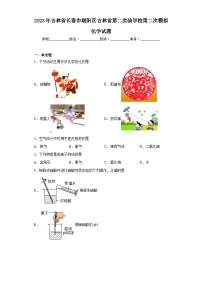 2023年吉林省长春市朝阳区吉林省第二实验学校第二次模拟化学试题（含解析）