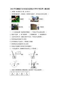 2023年安徽省六安市金安区重点中学中考化学三模试卷（含解析）