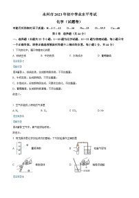 2023年湖南省永州市中考化学真题（解析版）