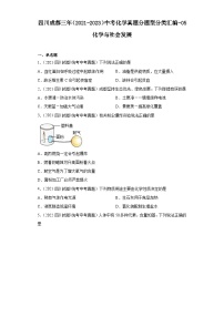 四川成都三年（2021-2023）中考化学真题分题型分类汇编-05化学与社会发展