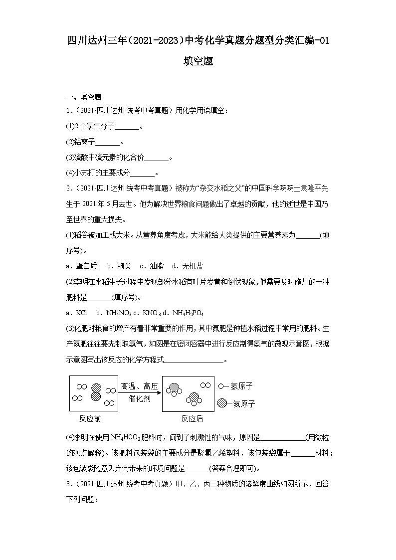四川达州三年（2021-2023）中考化学真题分题型分类汇编-01填空题01