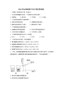 2023年山东省济宁市中考化学试卷（含解析）