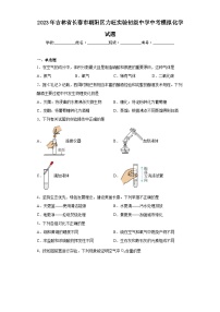 2023年吉林省长春市朝阳区力旺实验初级中学中考模拟化学试题（含解析）