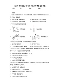 2023年贵州省盘州市初中学业水平模拟化学试题（含解析）