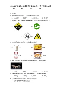 2023年广东省佛山市顺德区拔萃实验学校中考三模化学试题（含答案）