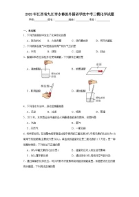 2023年江西省九江市永修县外国语学校中考三模化学试题（含解析）