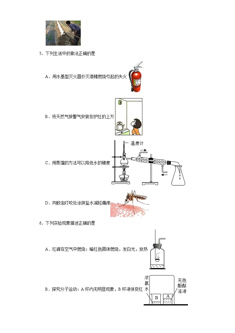 2023年黑龙江省哈尔滨市第六十九中学校中考模拟化学试题（含解析）第3页