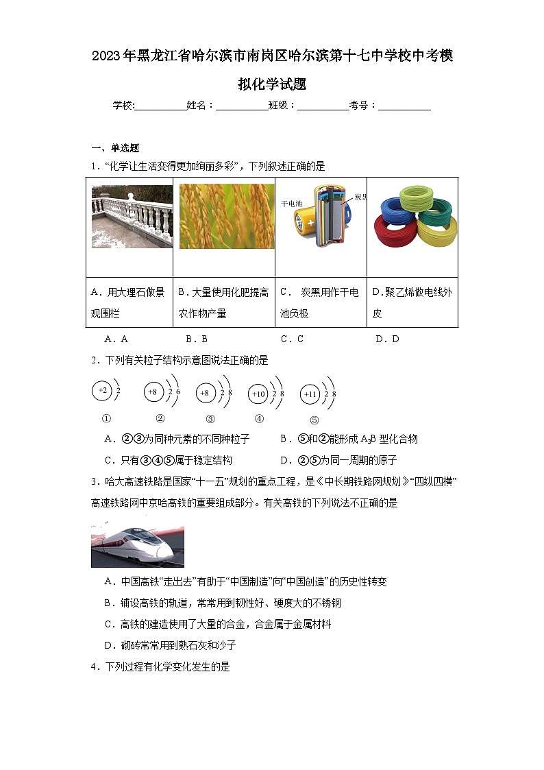 2023年黑龙江省哈尔滨市南岗区哈尔滨第十七中学校中考模拟化学试题（含解析）01
