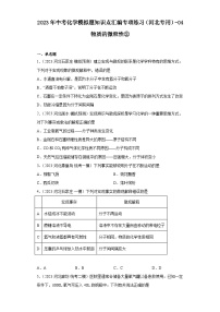 2023年中考化学模拟题知识点汇编专项练习（河北专用）-04物质的微粒性②